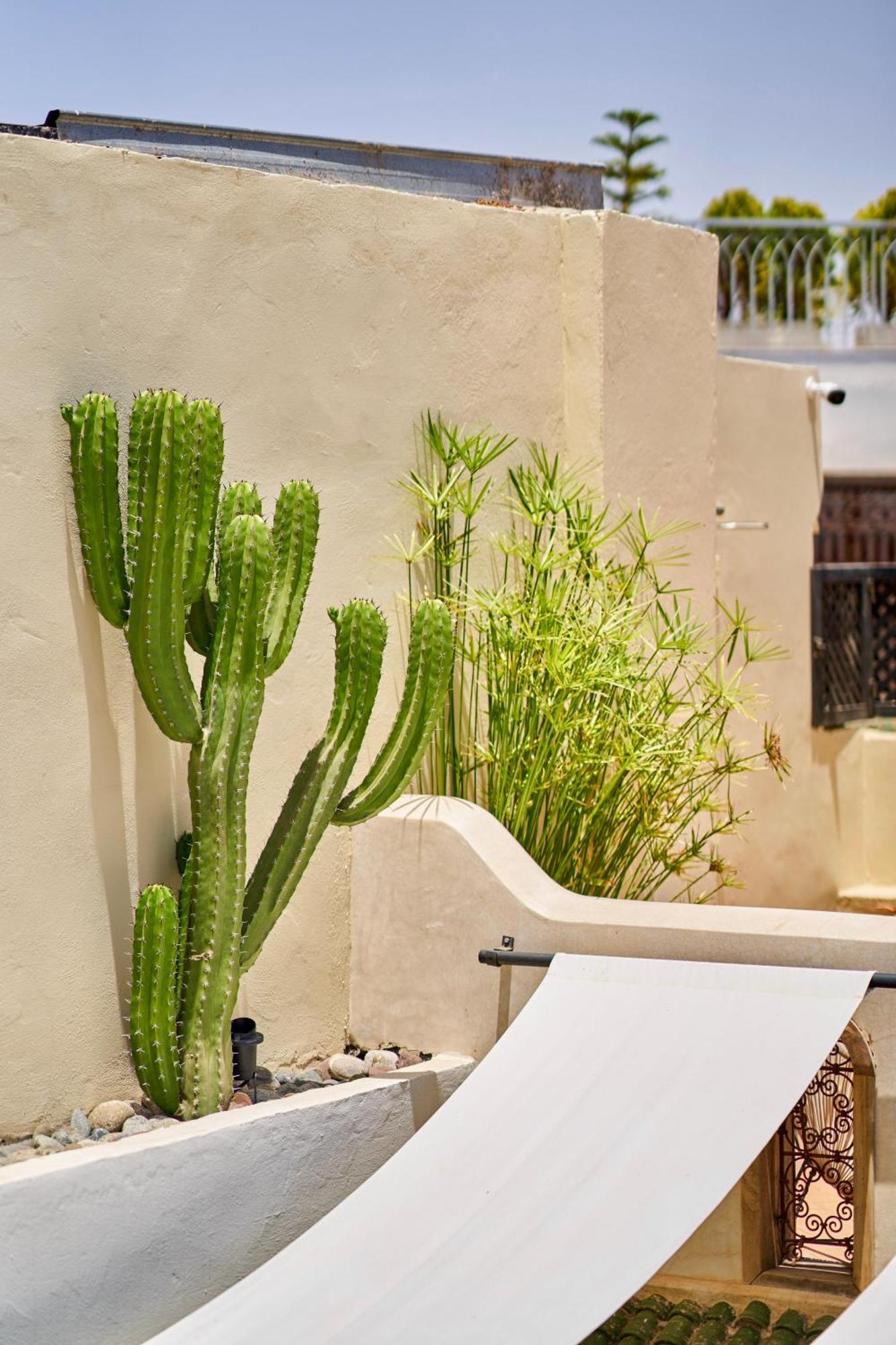 מרקש Riad Imperia מראה חיצוני תמונה
